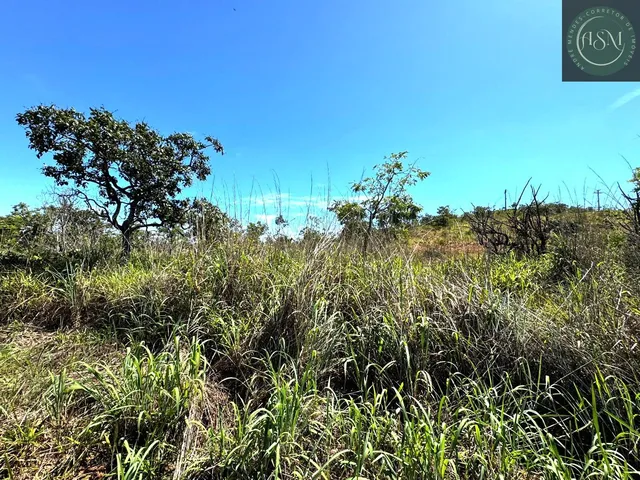 Imagem 8: ? Fazendinha à Venda – 20.000 m²