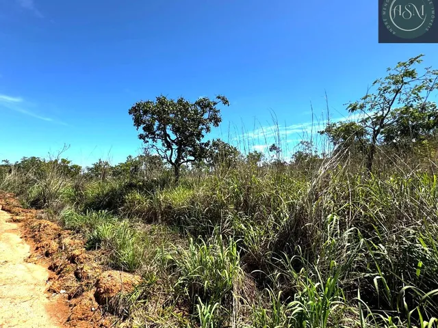 Imagem 10: ? Fazendinha à Venda – 20.000 m²