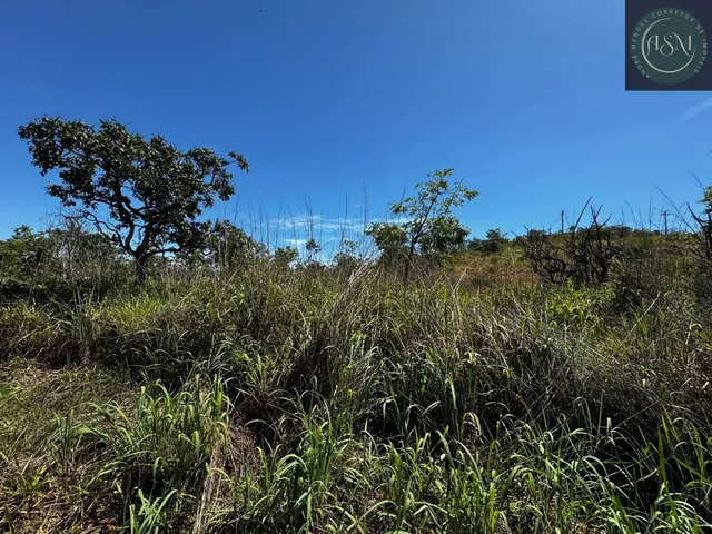 Imagem 5: ? Fazendinha à Venda – 20.000 m²