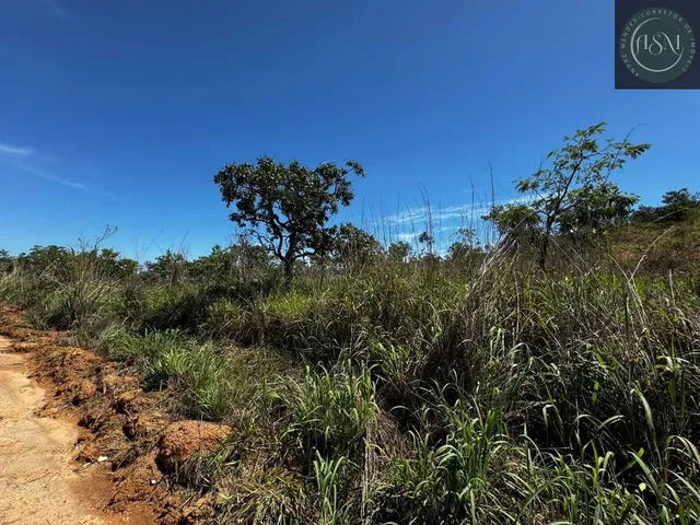 Imagem 16: ? Fazendinha à Venda – 20.000 m²