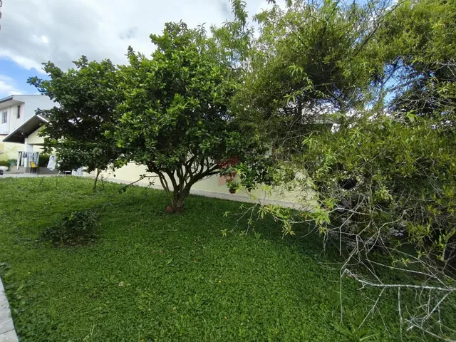 Imagem 16: CASA com 2 dormitórios à venda com 631m² por R$ 950.000,00 no bairro Planta Araçatuba