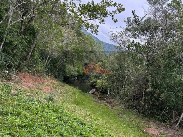 Imagem 4: Ref. 338 Terreno Disponível para Venda, Sítio!