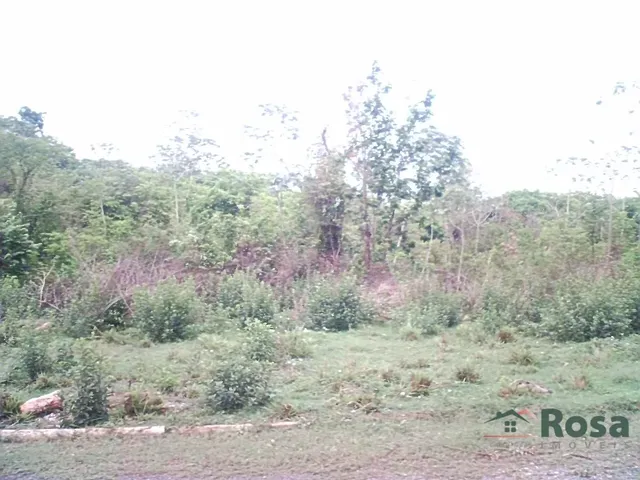 Imagem 2: Terreno à venda, investimento, Bairro Santa Rosa, Shopping Estação, localização