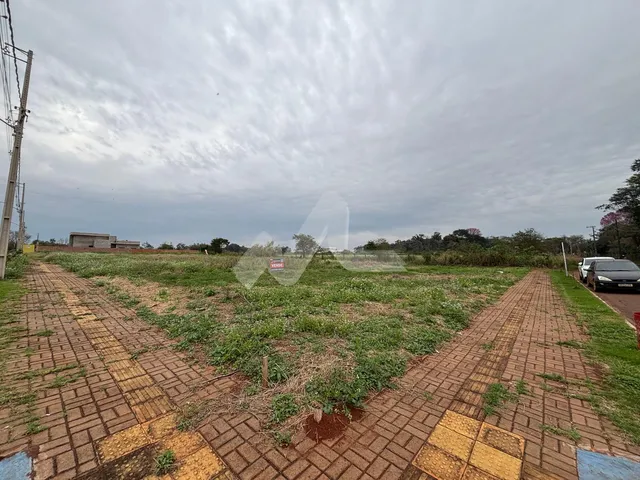 Imagem 9: Terreno Esquina 535,80 m² - ( 14,45 x 37,07 ) à venda, Tocantins, TOLEDO - PR