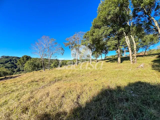 Imagem 4: Chácara Fazenda / sítio com 4 dormitórios