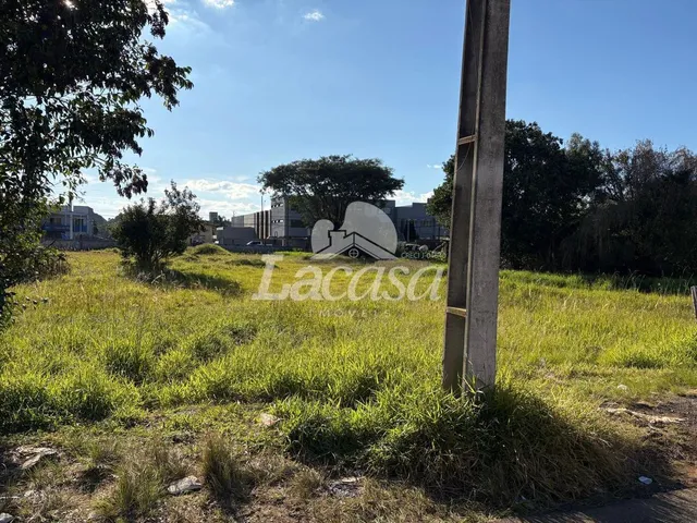 Imagem 3: Terreno na Av. Deputado Cezar Silvestri