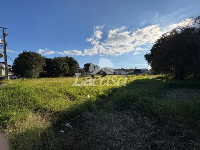 Imagem 14: Terreno na Av. Deputado Cezar Silvestri