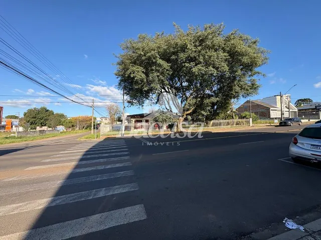 Imagem: Terreno na Av. Deputado Cezar Silvestri