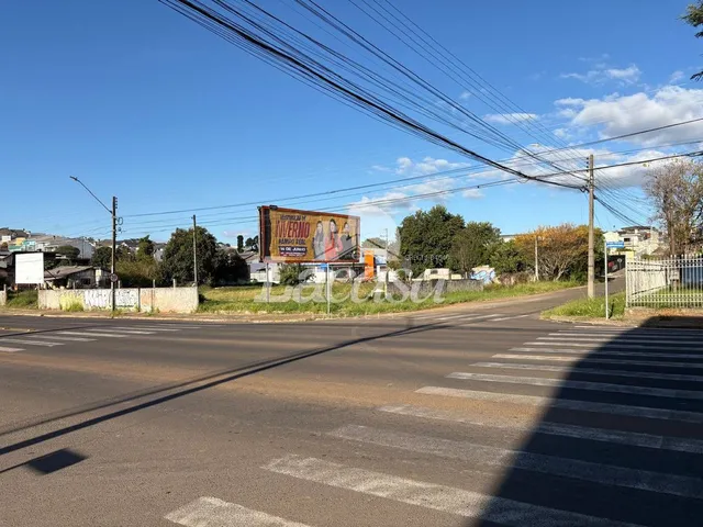 Imagem 11: Terreno na Av. Deputado Cezar Silvestri