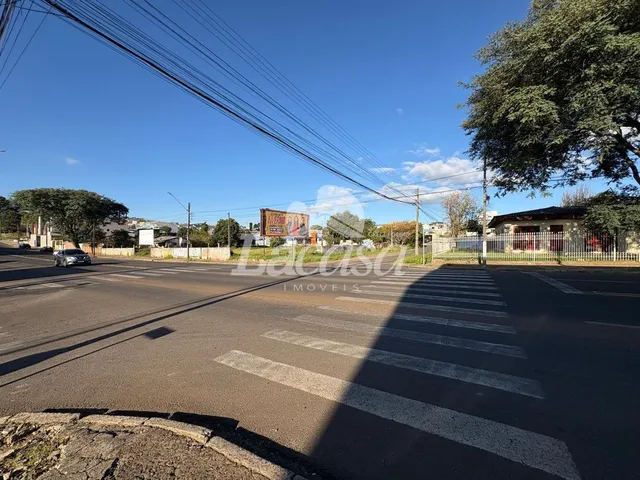 Imagem 13: Terreno na Av. Deputado Cezar Silvestri