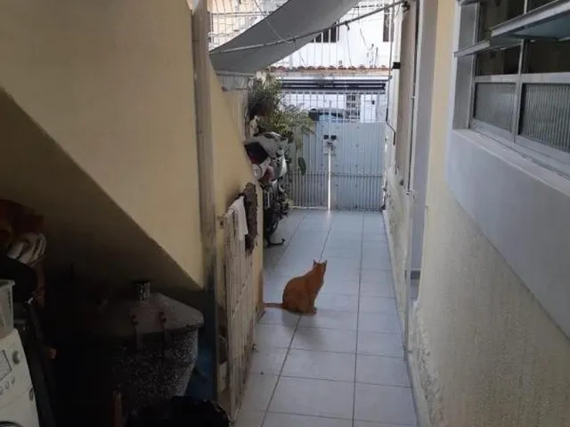 Imagem 7: 0 Casa com 3 dormitórios