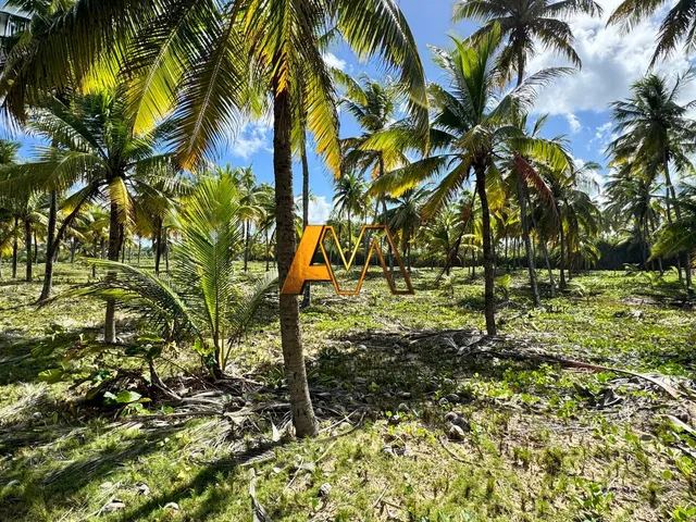 Imagem 12: Terreno de 17.000M² Frente Mar em Busca Vida
