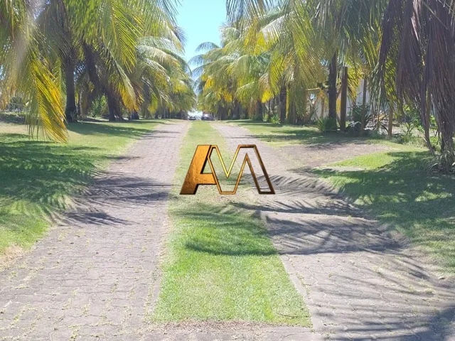 Imagem 6: Terreno À Venda no Bairro Busca Vida - Camaçari/Ba