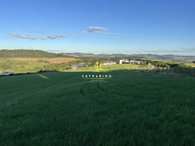 Imagem: Área Industrial