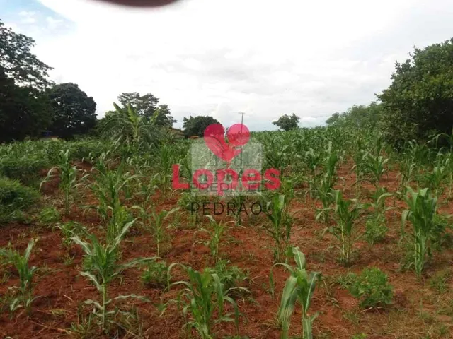 Imagem: Fazenda/Sítios/Chácaras de 3 Quartos