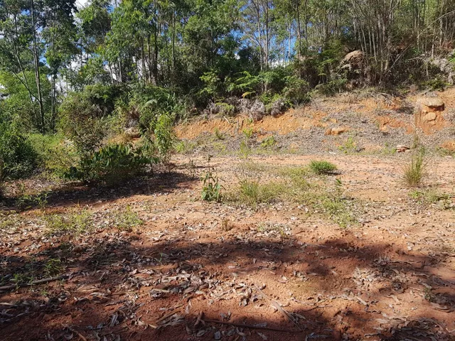 Imagem: AREA - NOVA FRIBURGO
