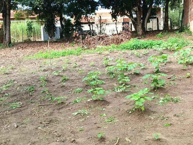 Imagem: Terreno - Saquarema