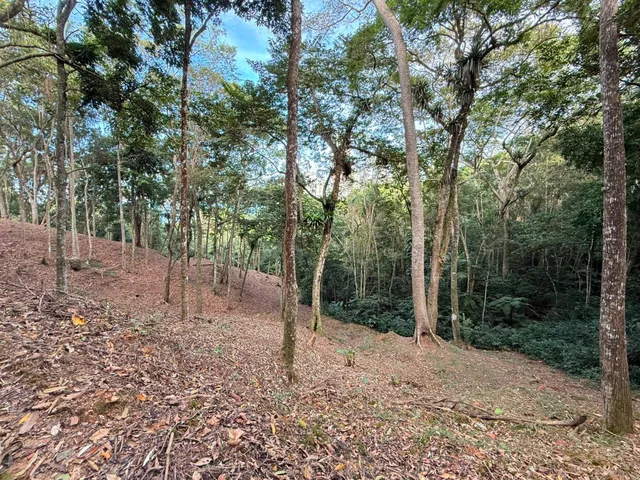 Imagem 5: Terreno À Venda em Itapema, Canto da Praia, 1080M²