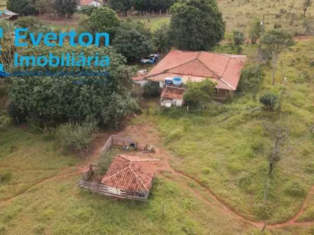 Imagem: Chácara 24.000m2 - Oportunidade de adquirir