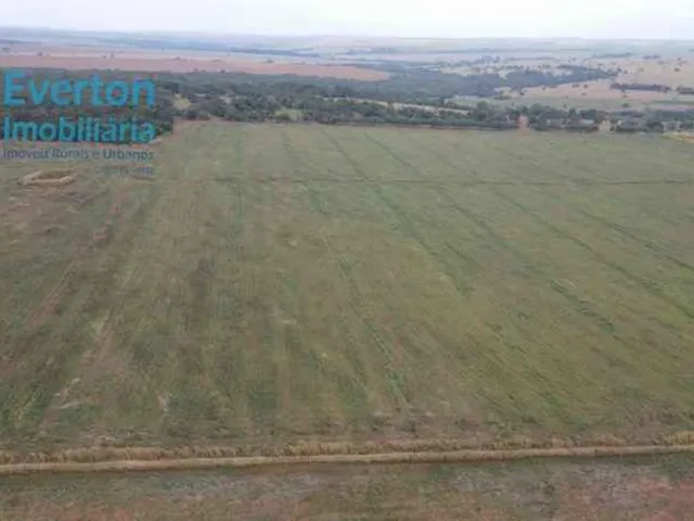 Imagem 6: Fazenda de 14,26 Alqueires à Venda em Prata-MG: Rio Tejuco, Casa Sede, Granja e Muito