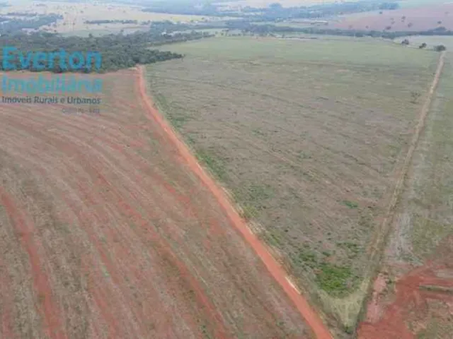 Imagem 11: Fazenda de 14,26 Alqueires à Venda em Prata-MG: Rio Tejuco, Casa Sede, Granja e Muito