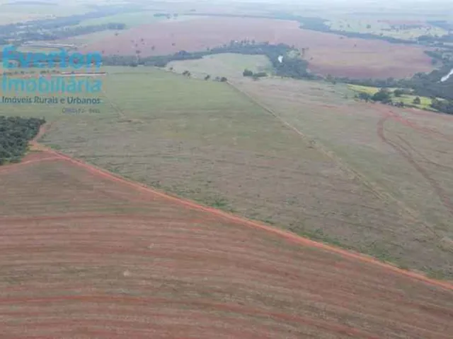 Imagem 16: Fazenda de 14,26 Alqueires à Venda em Prata-MG: Rio Tejuco, Casa Sede, Granja e Muito