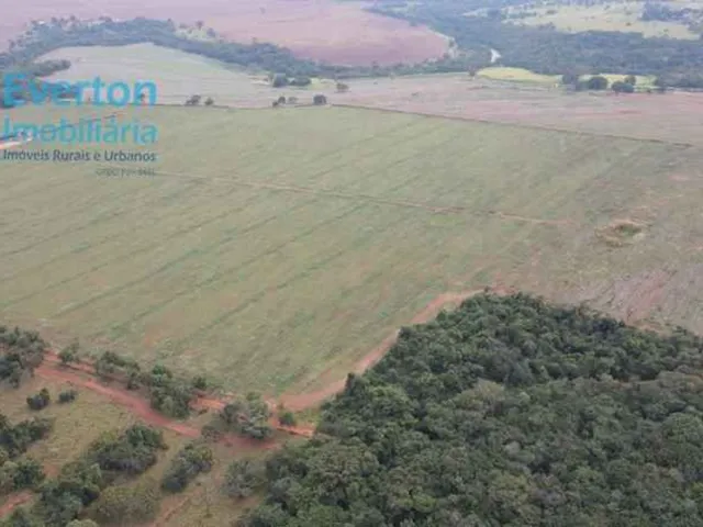 Imagem 9: Fazenda de 14,26 Alqueires à Venda em Prata-MG: Rio Tejuco, Casa Sede, Granja e Muito