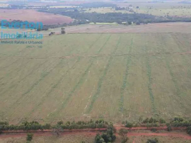 Imagem 2: Fazenda de 14,26 Alqueires à Venda em Prata-MG: Rio Tejuco, Casa Sede, Granja e Muito