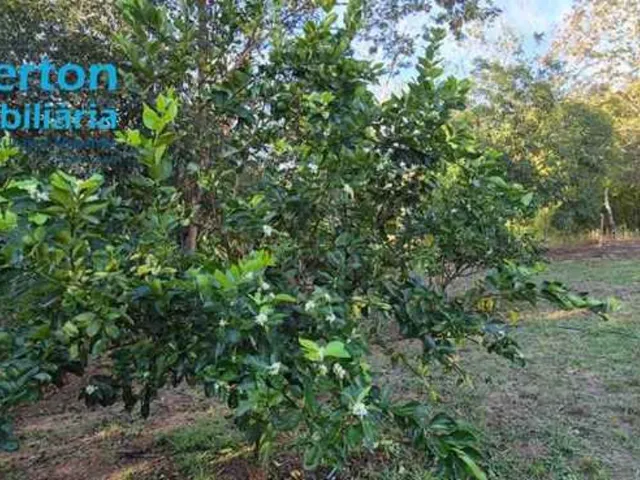 Imagem 16: Chácara de 24.000 m² à venda em Uberlândia-MG - Oásis de tranquilidade e conforto!