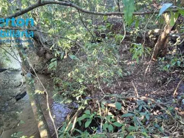Imagem 5: Chácara de 24.000 m² à venda em Uberlândia-MG - Oásis de tranquilidade e conforto!