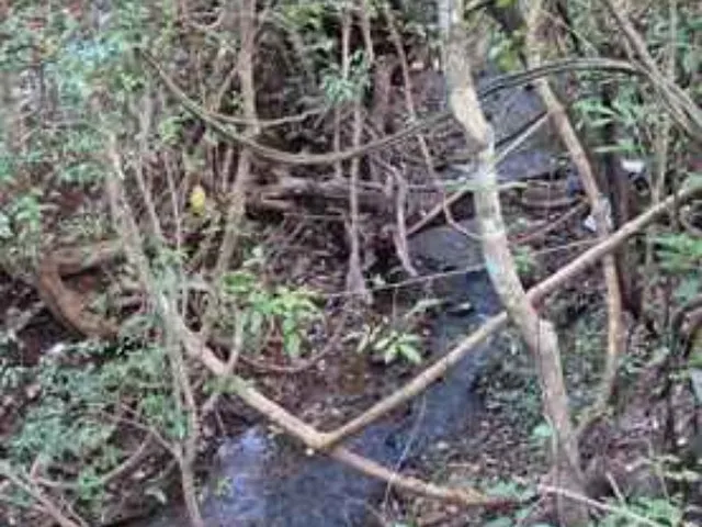 Imagem 11: Chácara de 24.000 m² à venda em Uberlândia-MG - Oásis de tranquilidade e conforto!