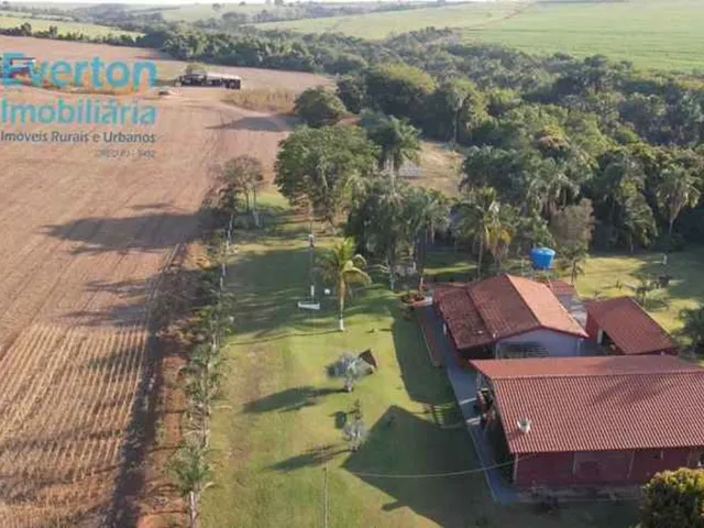 Imagem: Fazenda Excepcional de 13,50 Alqueires em