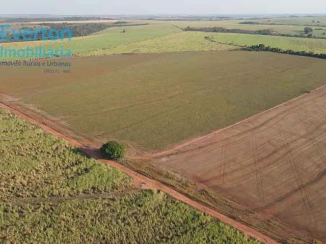 Imagem 2: Fazenda Excepcional de 13,50 Alqueires em Prata-Mg: Irrigação, Estrutura Completa e Energia Solar!