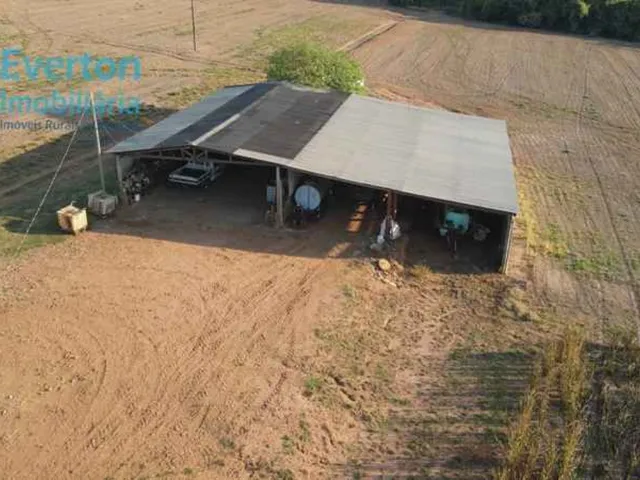 Imagem 4: Fazenda Excepcional de 13,50 Alqueires em Prata-Mg: Irrigação, Estrutura Completa e Energia Solar!