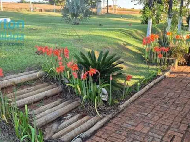 Imagem 12: Fazenda Excepcional de 13,50 Alqueires em Prata-Mg: Irrigação, Estrutura Completa e Energia Solar!