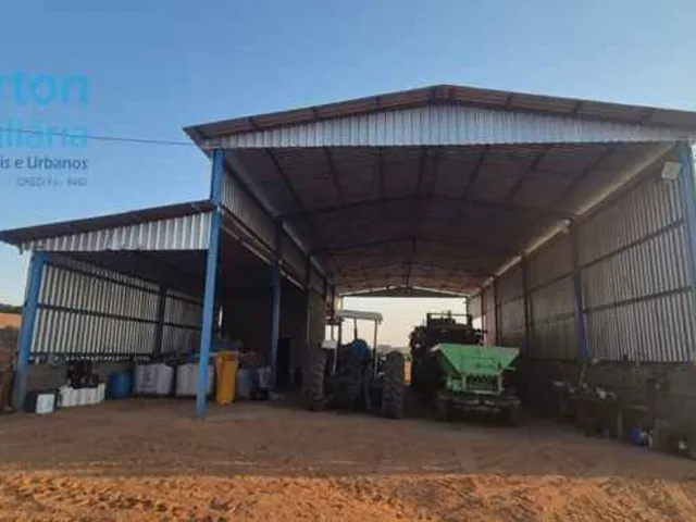 Imagem 16: Fazenda Excepcional de 13,50 Alqueires em Prata-Mg: Irrigação, Estrutura Completa e Energia Solar!