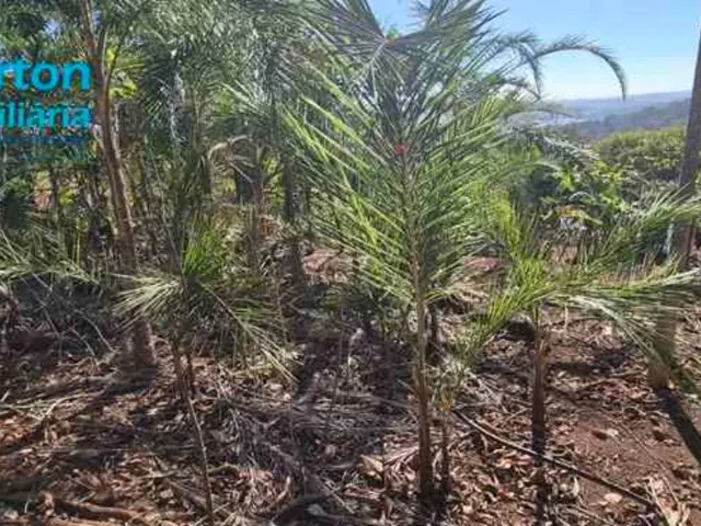 Imagem 2: Chácara 1.200m2, Condomínio Miranda I, Casa com 02 quartos (sendo 01 suíte), banheiro