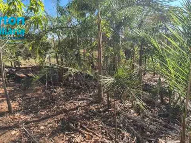 Imagem 4: Chácara 1.200m2, Condomínio Miranda I, Casa com 02 quartos (sendo 01 suíte), banheiro