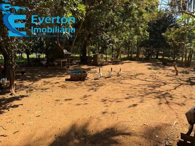 Imagem 5: Chácara 5.000 m2, escriturada no zoneamento urbana com habite-se, situada na Rua Das