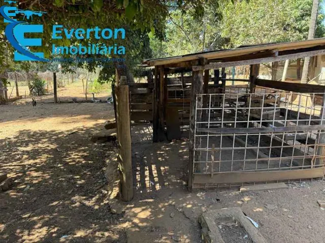 Imagem 10: Chácara 5.000 m2, escriturada no zoneamento urbana com habite-se, situada na Rua Das