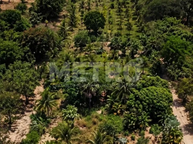 Imagem: Área beira rio à venda na Estrada da Tapera