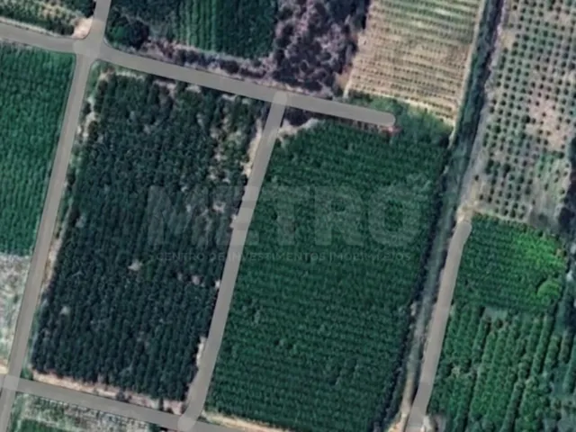 Imagem: Fazenda de coco e manga à venda, 7,7 hectares