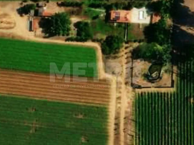 Imagem: Fazenda de Uvas À Venda em Juazeiro, 9,47