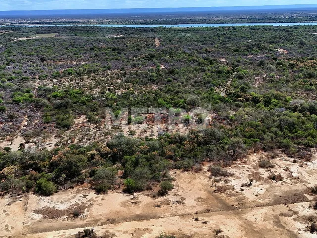 Imagem 3: Área rural com 961ha, 400 metros de margem do Rio São Francisco, bem localizado