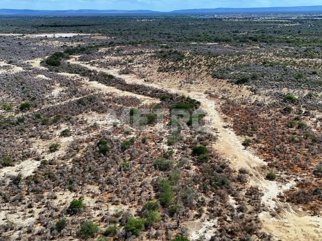Imagem 4: Área rural com 961ha, 400 metros de margem do Rio São Francisco, bem localizado