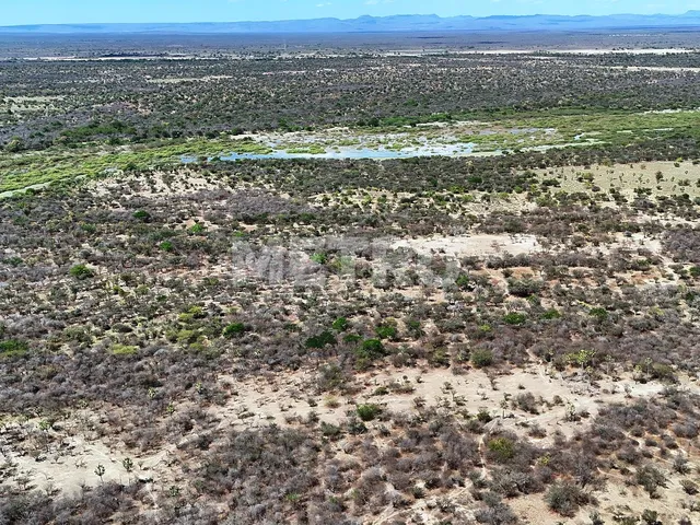 Imagem 5: Área rural com 961ha, 400 metros de margem do Rio São Francisco, bem localizado