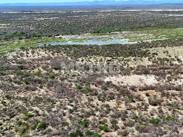 Imagem 6: Área rural com 961ha, 400 metros de margem do Rio São Francisco, bem localizado