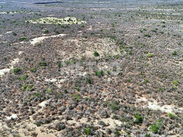 Imagem 9: Área rural com 961ha, 400 metros de margem do Rio São Francisco, bem localizado