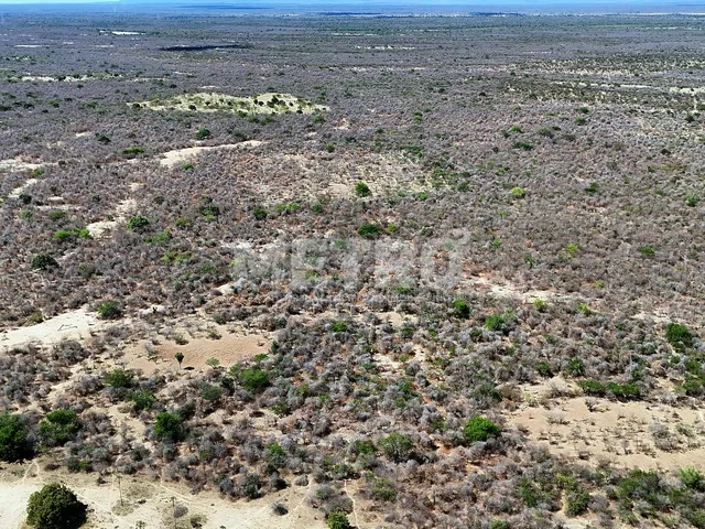 Imagem 10: Área rural com 961ha, 400 metros de margem do Rio São Francisco, bem localizado