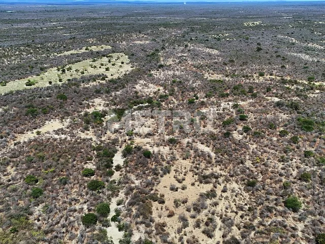 Imagem 11: Área rural com 961ha, 400 metros de margem do Rio São Francisco, bem localizado